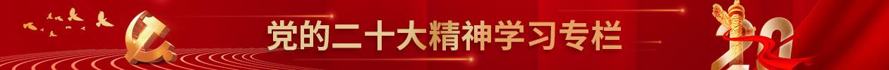 南宫国际